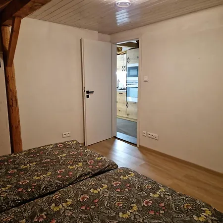 Apartment Safran Strba