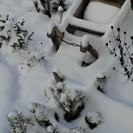 Safran Διαμέρισμα